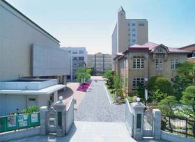 「大阪樟蔭女子大学様　（研究業績プロ）」の導入イメージ